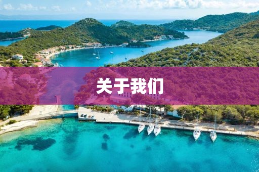 关于我们